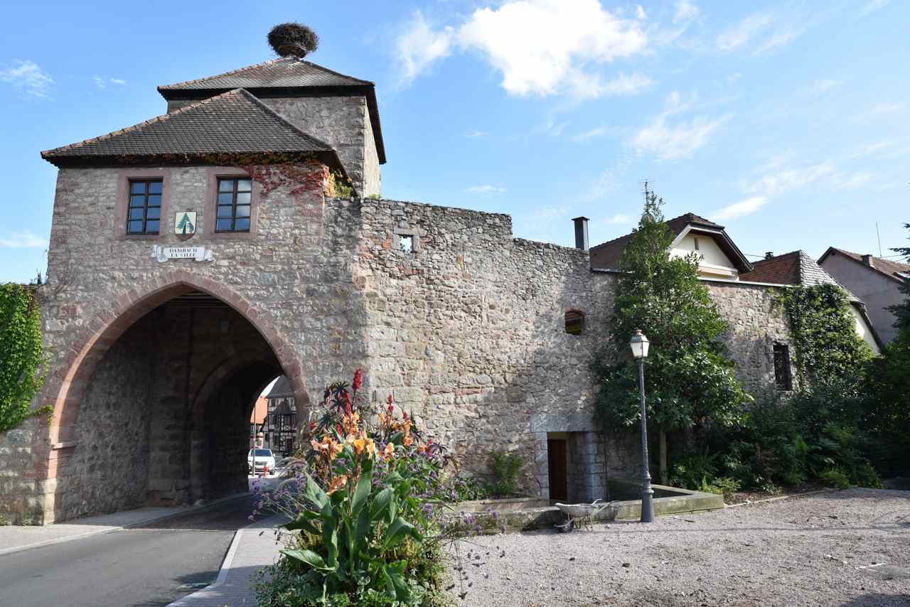 Dambach-la-Ville